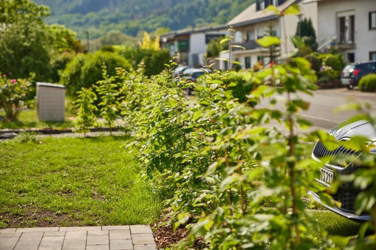 Kinheim Mittelmosel Panorama Ferienwohnung מראה חיצוני תמונה
